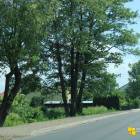 zdjęcie nr 43