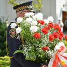 zdjęcie nr 27