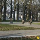 zdjęcie nr 41