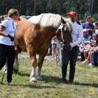 zdjęcie nr 96