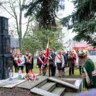 zdjęcie nr 47