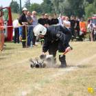zdjęcie nr 91