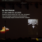 zdjęcie nr 18