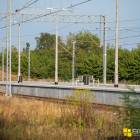 Fotka nr 4 z 27