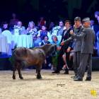 zdjęcie nr 23