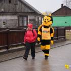 zdjęcie nr 7