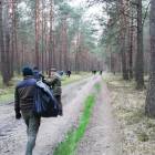 Fotka nr 5 z 14