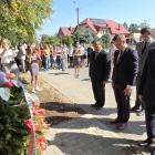 zdjęcie nr 29