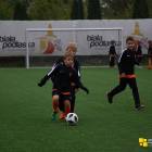 Fotka nr 5 z 12