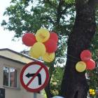 zdjęcie nr 8
