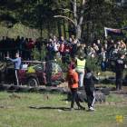 zdjęcie nr 252