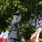 zdjęcie nr 46