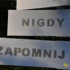 zdjęcie nr 94