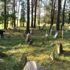 zdjęcie nr 9