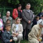 zdjęcie nr 98