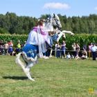 zdjęcie nr 23