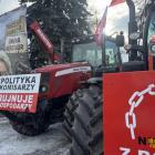 zdjęcie nr 11