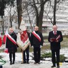 zdjęcie nr 13