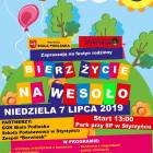 Fotka nr 0 z 2