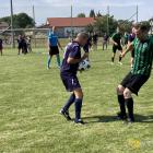 zdjęcie nr 80