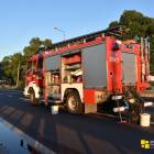 Fotka nr 5 z 11