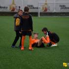zdjęcie nr 11