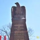 zdjęcie nr 51