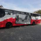zdjęcie nr 10