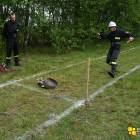 Fotka nr 1 z 11