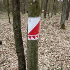 Fotka nr 0 z 19
