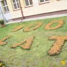 Fotka nr 2 z 13