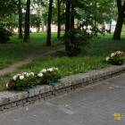 zdjęcie nr 7