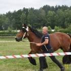 zdjęcie nr 43