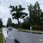 zdjęcie nr 48