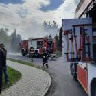 Fotka nr 4 z 8