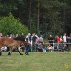 zdjęcie nr 85