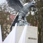 zdjęcie nr 117