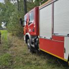 zdjęcie nr 31