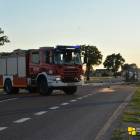 Fotka nr 3 z 18