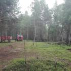 Fotka nr 1 z 4