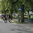 zdjęcie nr 17