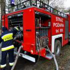Fotka nr 3 z 12
