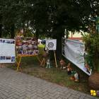 zdjęcie nr 26