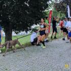zdjęcie nr 21