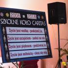 Fotka nr 4 z 42