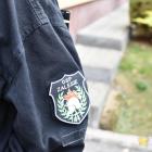 Fotka nr 2 z 178