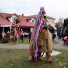 zdjęcie nr 54