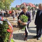 zdjęcie nr 23