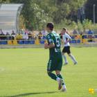 zdjęcie nr 11