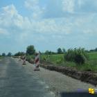 zdjęcie nr 15